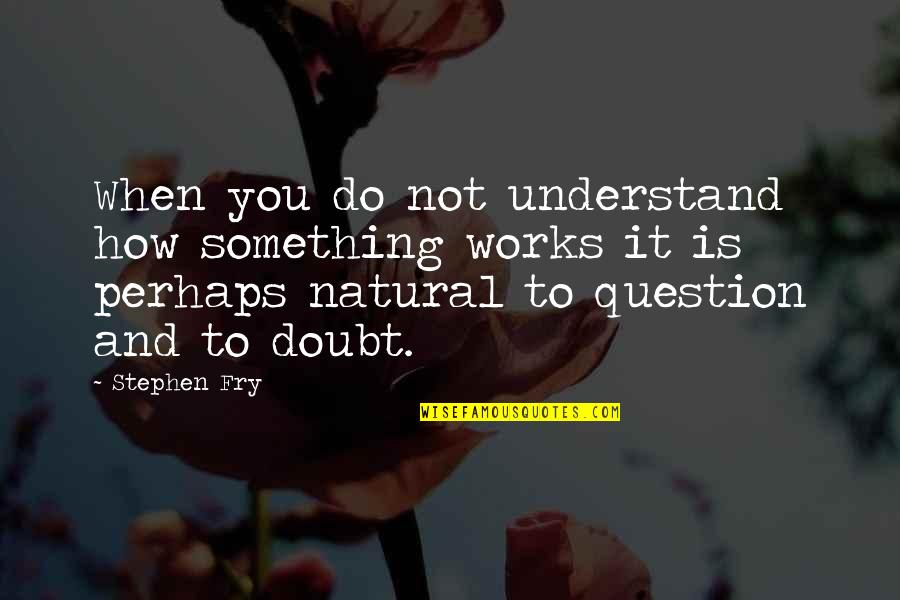 How To Do Something Quotes By Stephen Fry: When you do not understand how something works