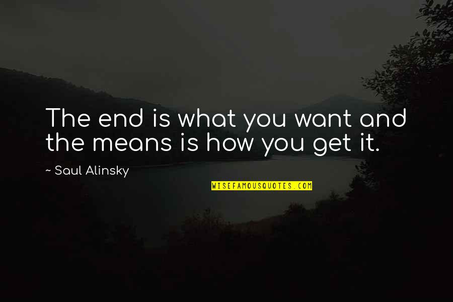 How To Get What You Want Quotes By Saul Alinsky: The end is what you want and the