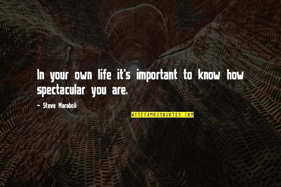 How To Know You Are In Love Quotes By Steve Maraboli: In your own life it's important to know