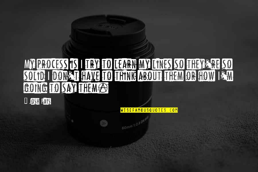 How To Learn Quotes By Josh Pais: My process is I try to learn my How To Learn Quotes By Josh Pais: My process is I try to learn my