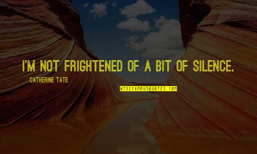 How To Live Happy Life Quotes By Catherine Tate: I'm not frightened of a bit of silence.