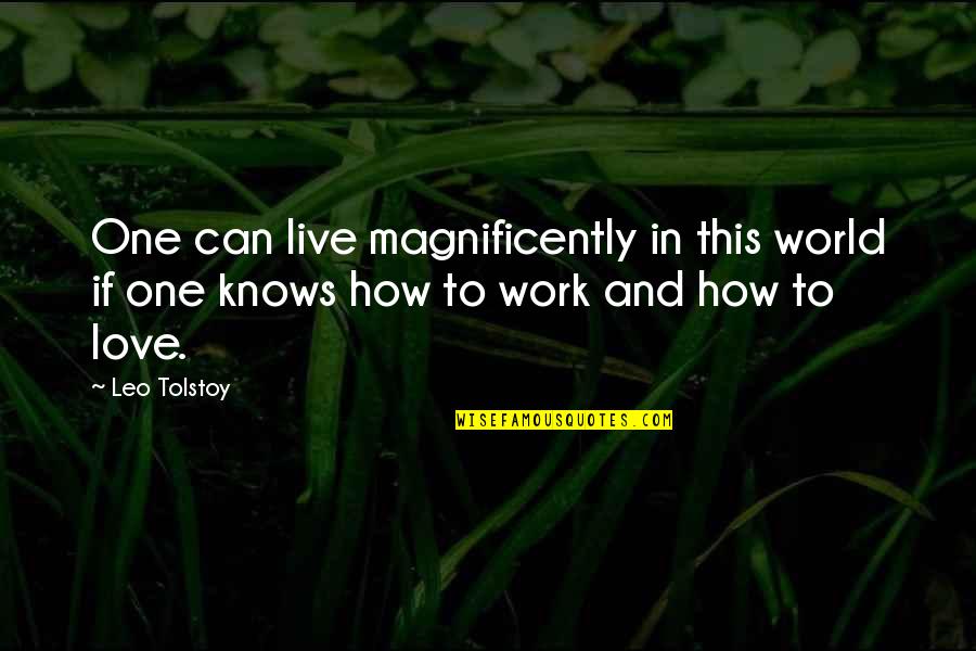 How To Live Without Love Quotes By Leo Tolstoy: One can live magnificently in this world if