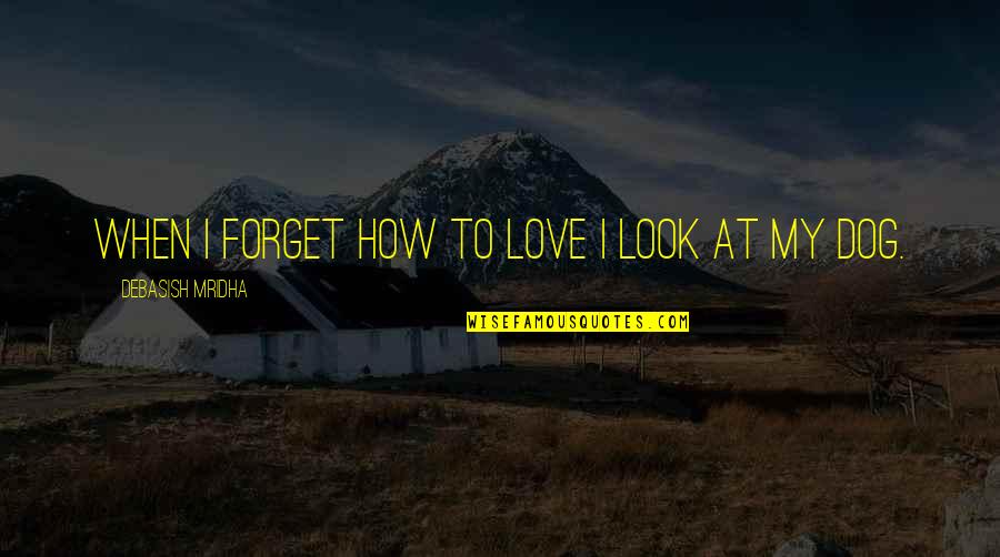 How To Look At Life Quotes By Debasish Mridha: When I forget how to love I look