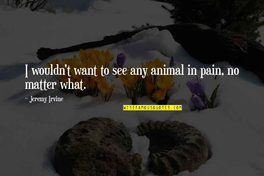 How To Make Her Feel Special Quotes By Jeremy Irvine: I wouldn't want to see any animal in How To Make Her Feel Special Quotes By Jeremy Irvine: I wouldn't want to see any animal in