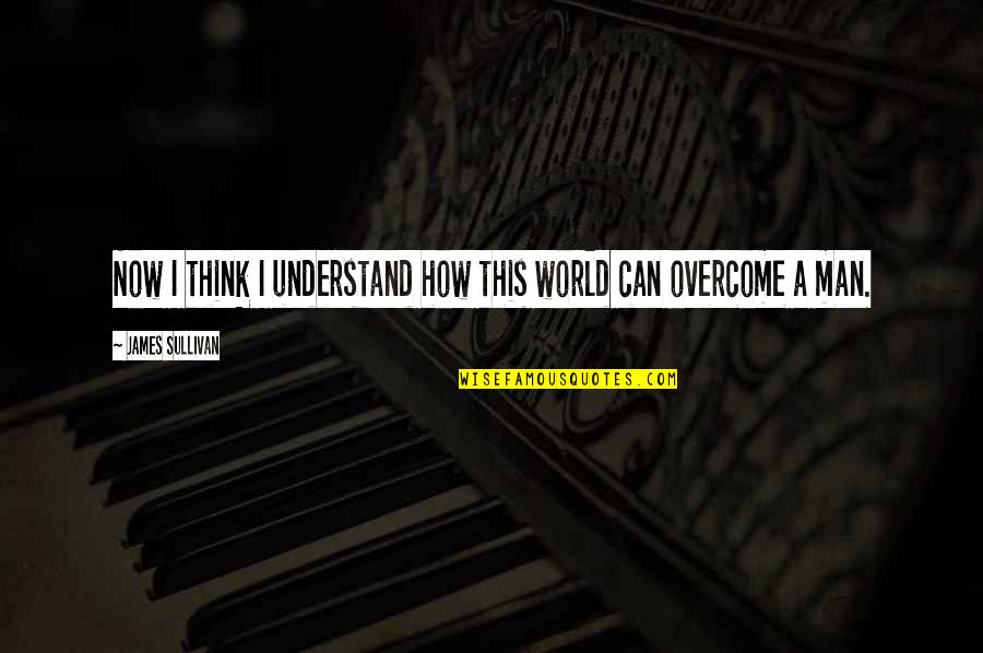 How To Overcome It Quotes By James Sullivan: Now I think I understand how this world