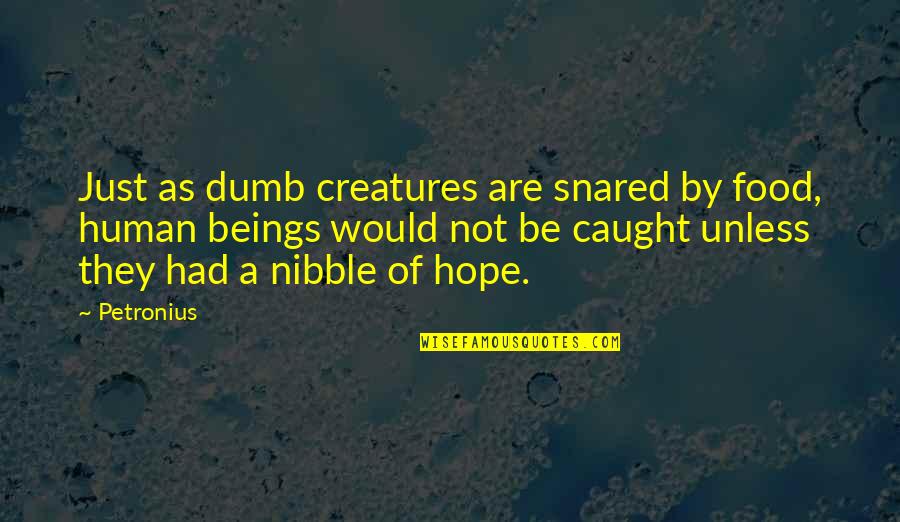 How To Praise A Girl Quotes By Petronius: Just as dumb creatures are snared by food, How To Praise A Girl Quotes By Petronius: Just as dumb creatures are snared by food,
