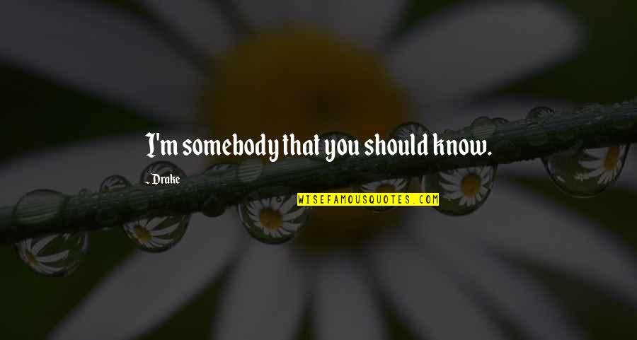 How To Reflect On A Quote Quotes By Drake: I'm somebody that you should know.