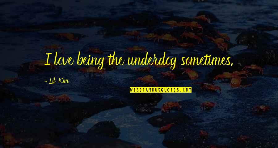 How To Reflect On A Quote Quotes By Lil' Kim: I love being the underdog sometimes. How To Reflect On A Quote Quotes By Lil' Kim: I love being the underdog sometimes.