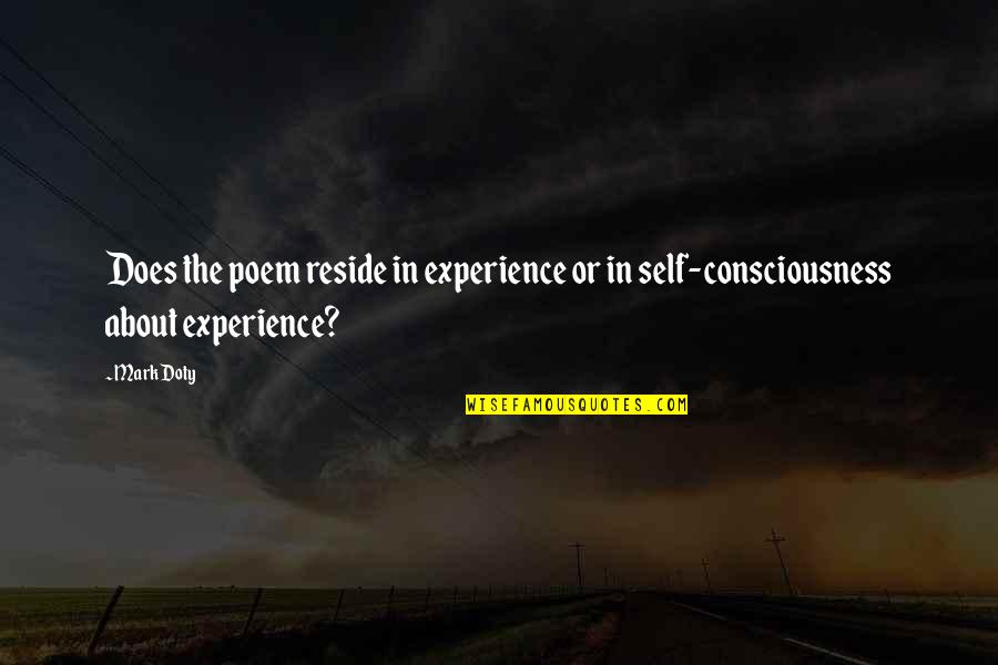 How To Show Omitted Word In Quotes By Mark Doty: Does the poem reside in experience or in