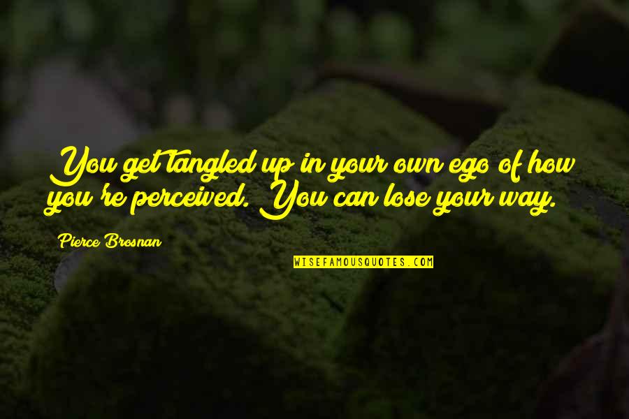 How We Are Perceived Quotes By Pierce Brosnan: You get tangled up in your own ego