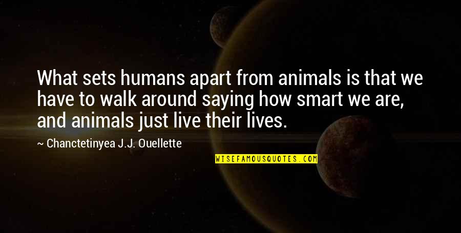 How We Live Our Lives Quotes By Chanctetinyea J.J. Ouellette: What sets humans apart from animals is that