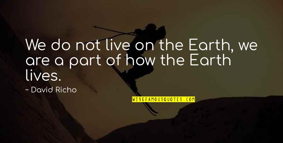 How We Live Our Lives Quotes By David Richo: We do not live on the Earth, we
