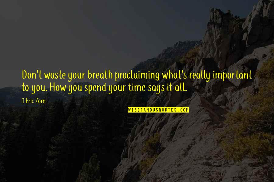 How We Spend Our Time Quotes By Eric Zorn: Don't waste your breath proclaiming what's really important