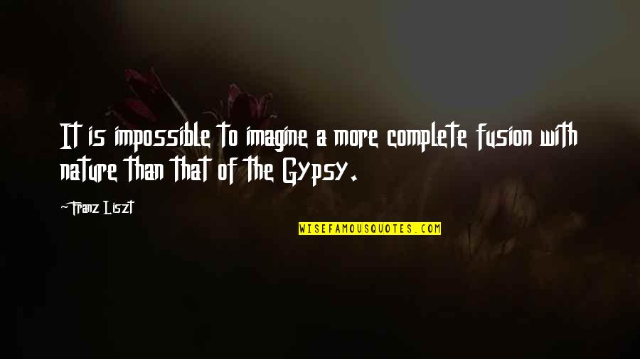 How You Deal With Stress Quotes By Franz Liszt: It is impossible to imagine a more complete