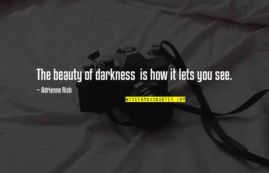 How You See Quotes By Adrienne Rich: The beauty of darkness is how it lets