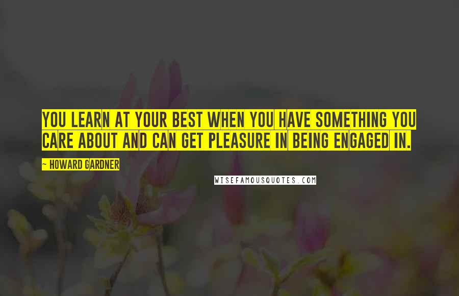 Howard Gardner quotes: You learn at your best when you have something you care about and can get pleasure in being engaged in.