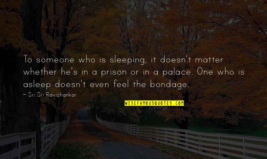 Howard Wagner Quotes By Sri Sri Ravishankar: To someone who is sleeping, it doesn't matter