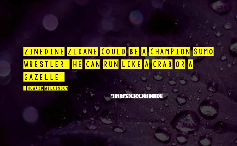 Howard Wilkinson quotes: Zinedine Zidane could be a champion sumo wrestler. He can run like a crab or a gazelle.