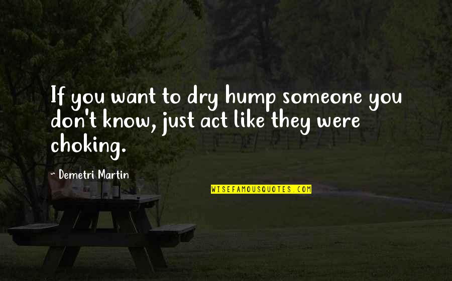 Howell Binkley Quotes By Demetri Martin: If you want to dry hump someone you