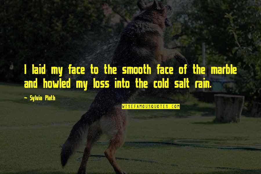 Howled Quotes By Sylvia Plath: I laid my face to the smooth face