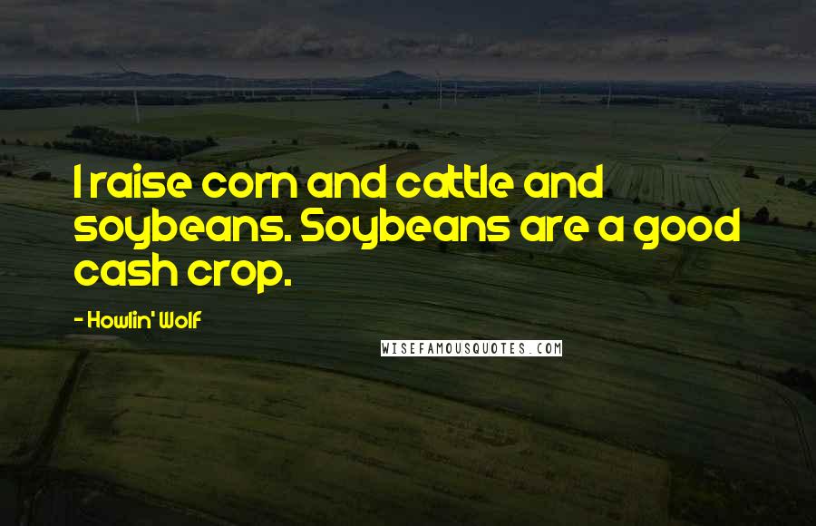 Howlin' Wolf quotes: I raise corn and cattle and soybeans. Soybeans are a good cash crop.