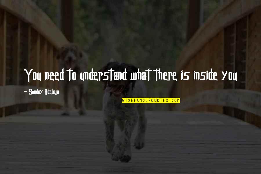 Hoyt Volker Quotes By Sunday Adelaja: You need to understand what there is inside Hoyt Volker Quotes By Sunday Adelaja: You need to understand what there is inside