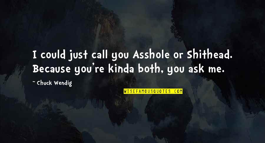 Hozier Take Me To Church Quotes By Chuck Wendig: I could just call you Asshole or Shithead.