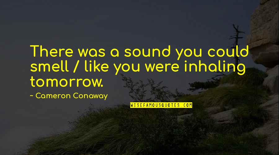 Hr Proverbs And Quotes By Cameron Conaway: There was a sound you could smell /