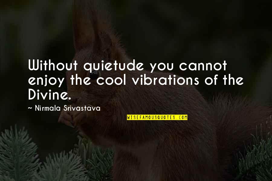 Hristijan Stojcevski Quotes By Nirmala Srivastava: Without quietude you cannot enjoy the cool vibrations