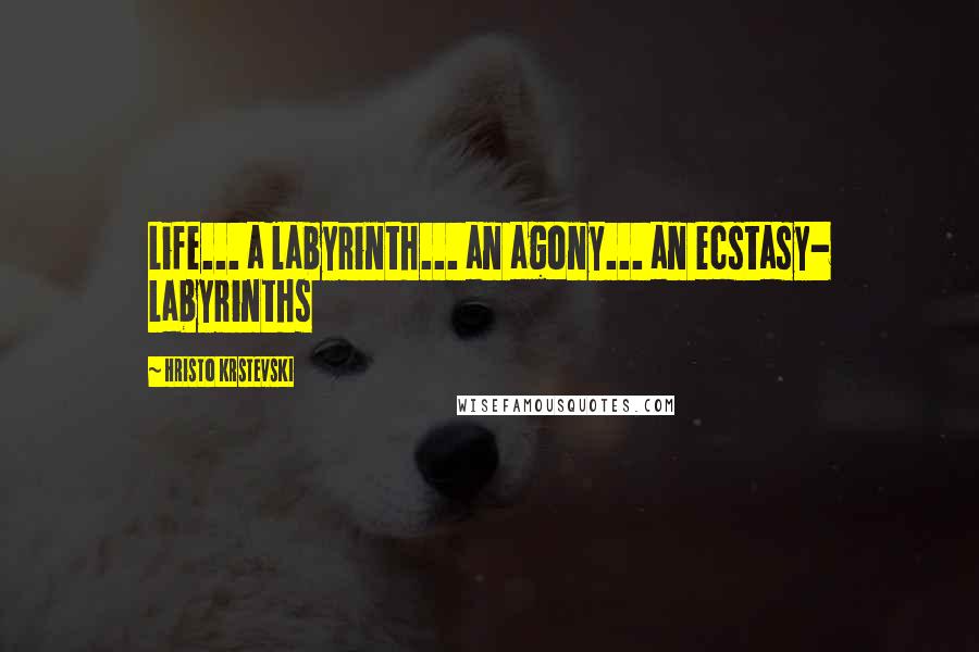 Hristo Krstevski quotes: Life... a labyrinth... an agony... an ecstasy- Labyrinths