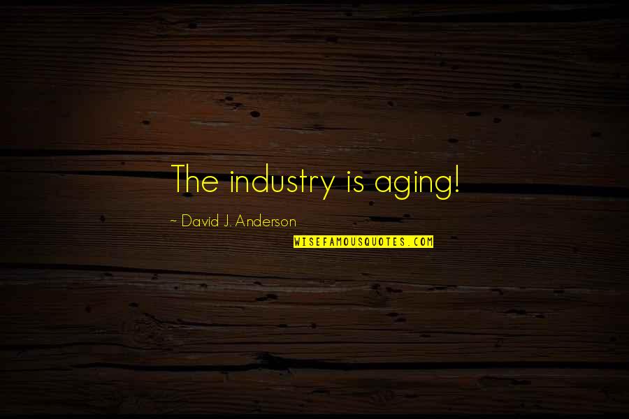 Hristo Vitchev Quotes By David J. Anderson: The industry is aging! Hristo Vitchev Quotes By David J. Anderson: The industry is aging!
