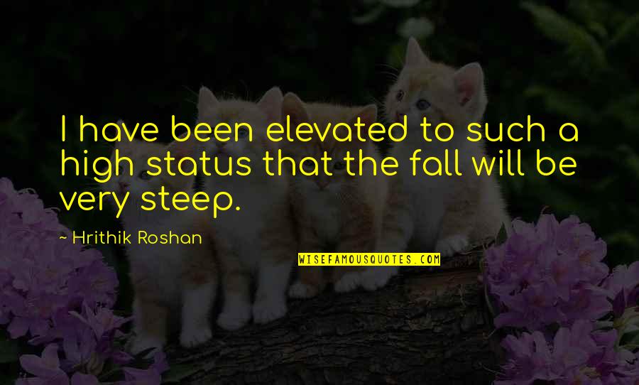 Hrithik Quotes By Hrithik Roshan: I have been elevated to such a high