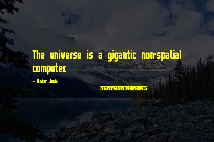 Hruza Na Jevi Ti Csfd Quotes By Kedar Joshi: The universe is a gigantic non-spatial computer.