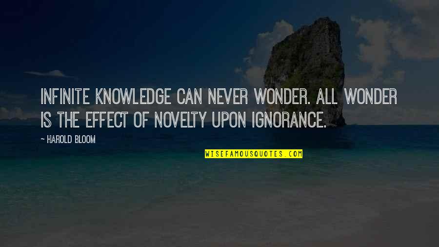 Hs Wrestling Quotes By Harold Bloom: Infinite knowledge can never wonder. All wonder is