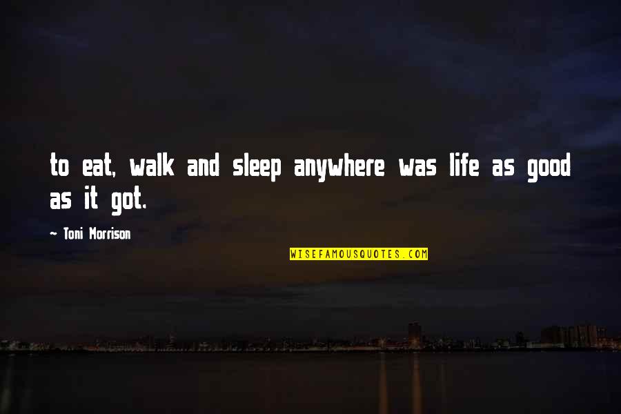 Hsianghualite Quotes By Toni Morrison: to eat, walk and sleep anywhere was life