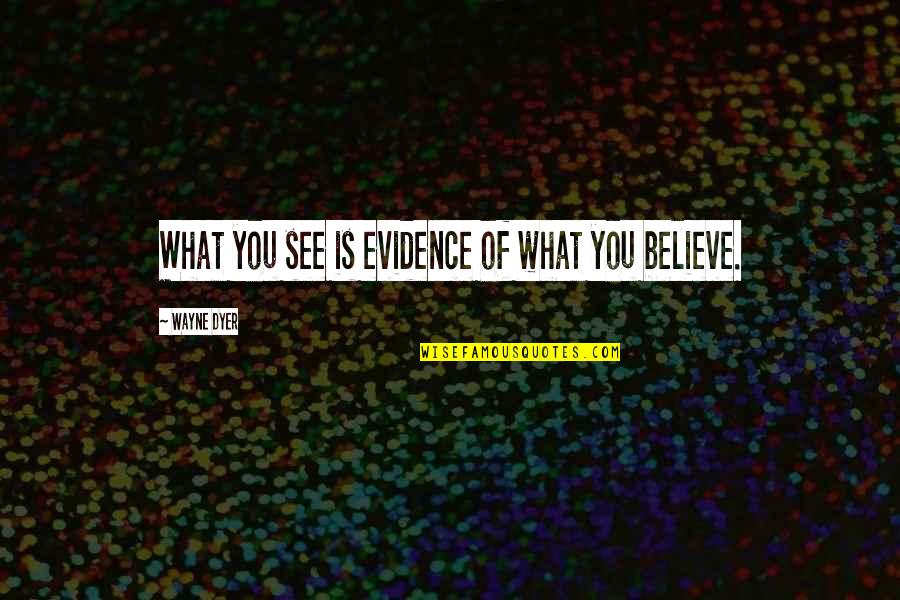 Hsu Taiyu Quotes By Wayne Dyer: What you see is evidence of what you Hsu Taiyu Quotes By Wayne Dyer: What you see is evidence of what you
