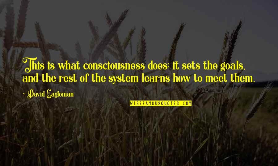 Ht Theater Quotes By David Eagleman: This is what consciousness does: it sets the Ht Theater Quotes By David Eagleman: This is what consciousness does: it sets the