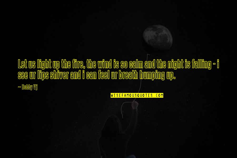 Htsb Quotes By Bobby Vj: Let us light up the fire, the wind
