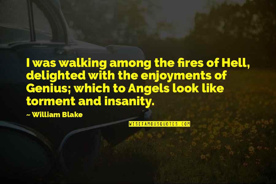 Huan Quotes By William Blake: I was walking among the fires of Hell,