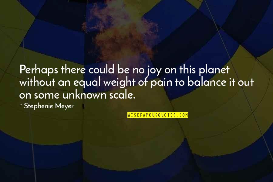 Huaraches Shoes Quotes By Stephenie Meyer: Perhaps there could be no joy on this