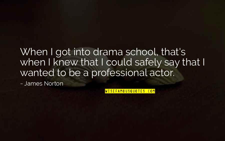 Hubele Bal Zs Quotes By James Norton: When I got into drama school, that's when