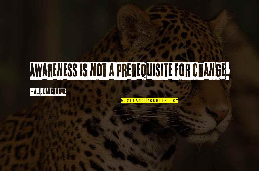Hubeler Quotes By A.J. Darkholme: Awareness is not a prerequisite for change.