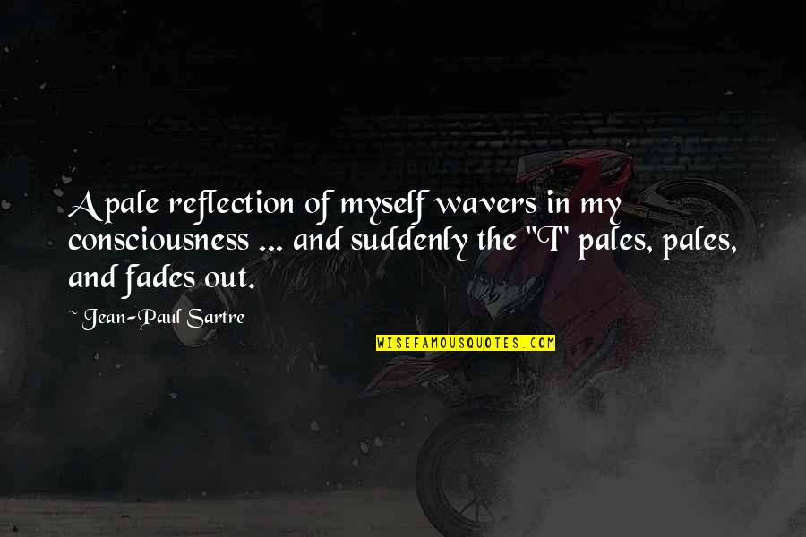 Hubert Joly Quotes By Jean-Paul Sartre: A pale reflection of myself wavers in my