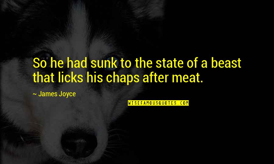 Hubie Dubois Quotes By James Joyce: So he had sunk to the state of