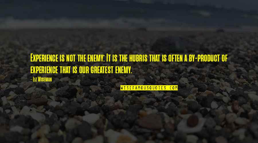 Hubris Quotes By Liz Wiseman: Experience is not the enemy: It is the