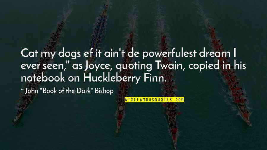 Huck Finn Quotes By John 