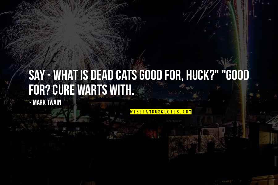 Huck's Quotes By Mark Twain: Say - what is dead cats good for,