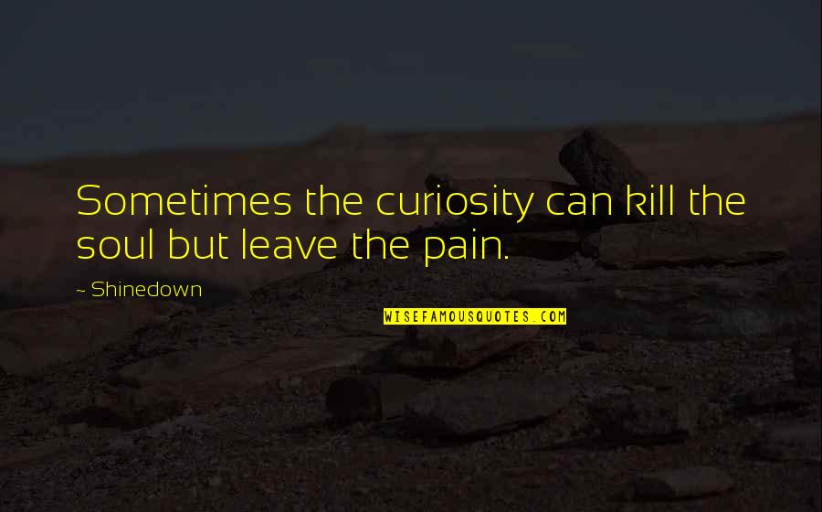 Hucksters Slatington Quotes By Shinedown: Sometimes the curiosity can kill the soul but