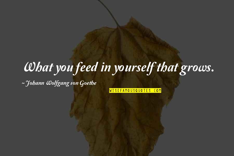 Hudacek Roofing Quotes By Johann Wolfgang Von Goethe: What you feed in yourself that grows.