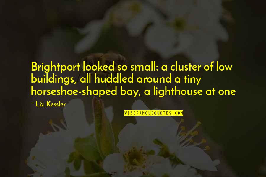 Huddled Quotes By Liz Kessler: Brightport looked so small: a cluster of low